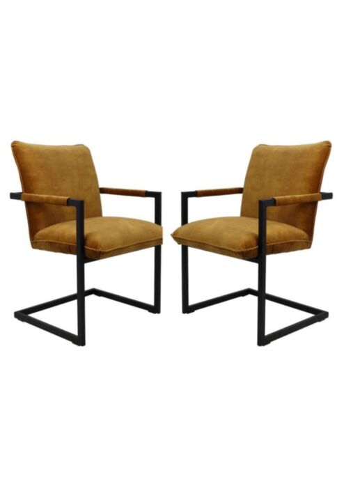 HSM Collection-Eetkamerstoel Boston S/2-56x68x89-Goud/Zwart-Stof/Metaal (BOSTON132-2)