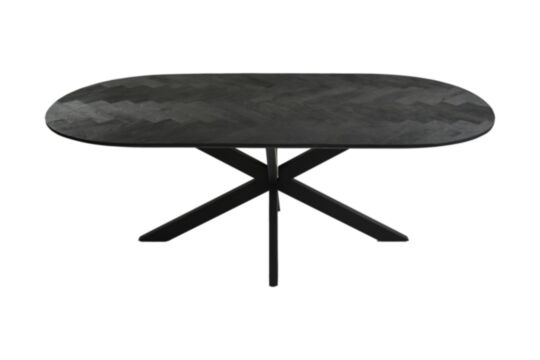 Eettafel Verona Elips - 200x100x75 - Zwart - Mangohout/ijzer (BC-MTO200BL)