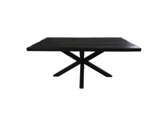 Rechthoekige eettafel - 200x100x77 cm - Zwart - Gerecycled mangohout/metaal (HSM155)